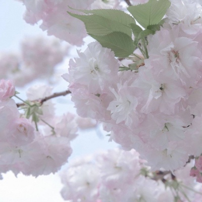 Furry绘画改稿思路FurryQQ群